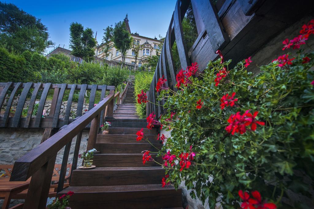 Casa Savri Hotel Sighisoara Exterior photo